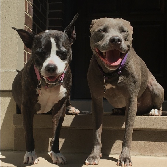 WE ❤️ OFFERS & BUNDLES! - Picture 5 of 6